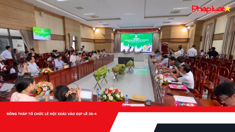 Đồng Tháp tổ chức lễ hội xoài vào dịp lễ 30-4