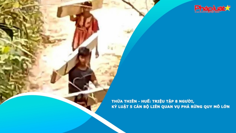 Thừa Thiên - Huế: Triệu tập 8 người, kỷ luật 5 cán bộ liên quan vụ phá rừng quy mô lớn