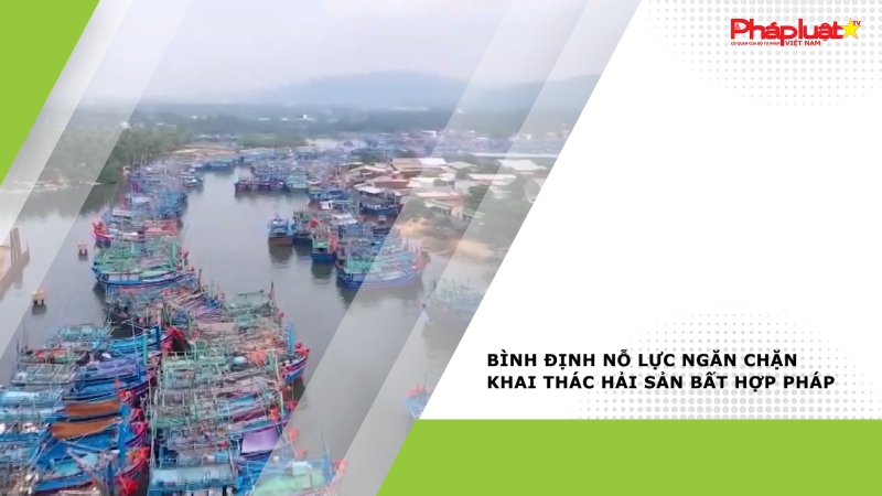 Bình Định nỗ lực ngăn chặn khai thác hải sản bất hợp pháp
