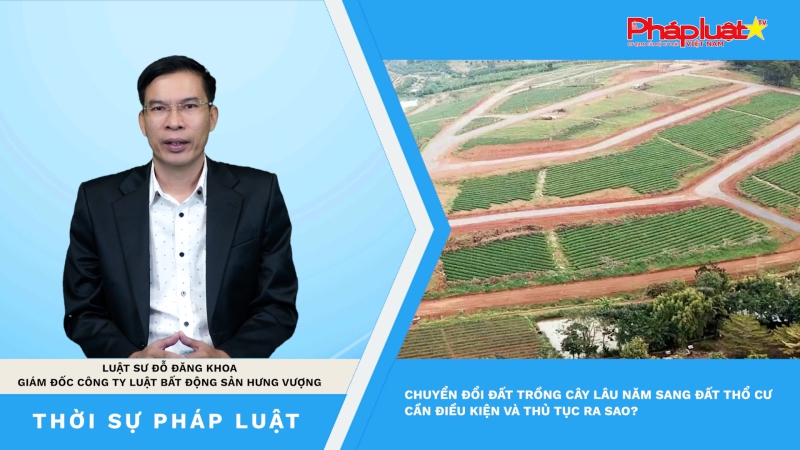 Thời sự Pháp Luật: Chuyển đổi đất trồng cây lâu năm sang đất thổ cư cần điều kiện và thủ tục ra sao?