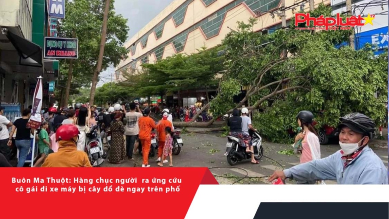 Buôn Ma Thuột: Hàng chục người ra ứng cứu cô gái đi xe máy bị cây đổ đè ngay trên phố
