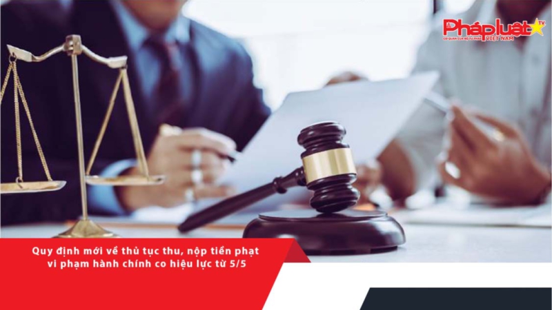 Quy định mới về thủ tục thu, nộp tiền phạt vi phạm hành chính co hiệu lực từ 5/5
