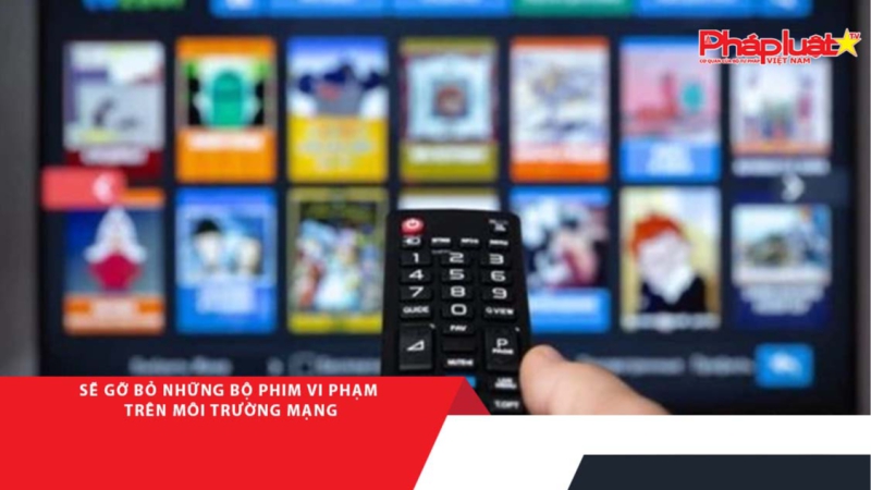 Sẽ gỡ bỏ những bộ phim vi phạm trên môi trường mạng