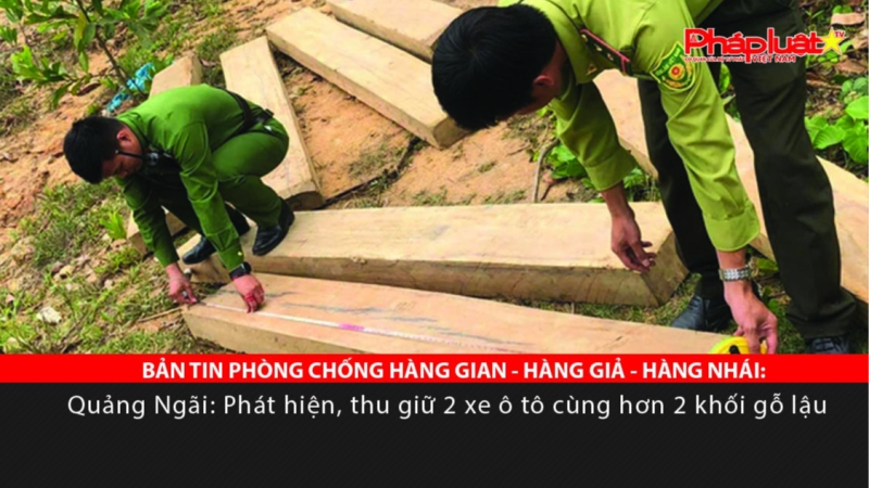 BẢN TIN PHÒNG CHỐNG HÀNG GIAN - HÀNG GIẢ - HÀNG NHÁI: Quảng Ngãi: Phát hiện, thu giữ 2 xe ô tô cùng hơn 2 khối gỗ lậu