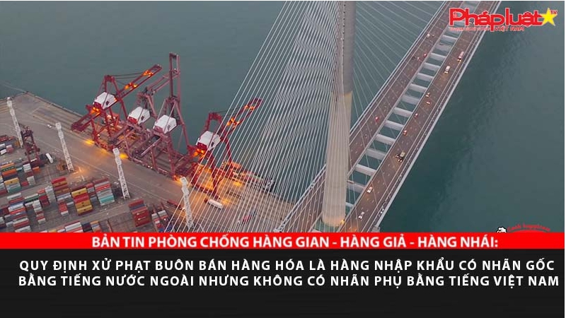 BẢN TIN PHÒNG CHỐNG HÀNG GIAN - HÀNG GIẢ - HÀNG NHÁI: Quy định xử phạt buôn bán hàng hóa là hàng nhập khẩu có nhãn gốc bằng tiếng nước ngoài nhưng không có nhãn phụ bằng tiếng Việt Nam