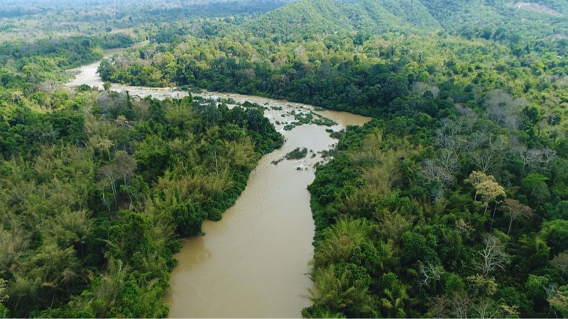 Rừng Cát Tiên: Thiên nhiên hoang dã vô tận