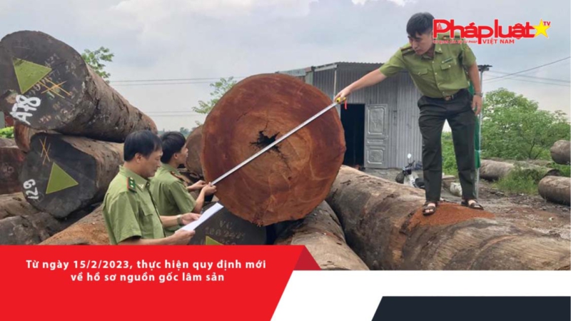 Từ giữa quý 1/2023, thực hiện quy định mới về hồ sơ nguồn gốc lâm sản