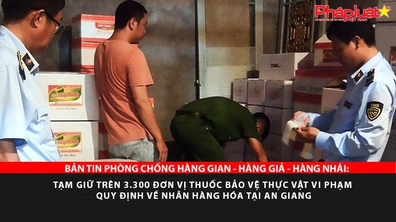 BẢN TIN PHÒNG CHỐNG HÀNG GIAN - HÀNG GIẢ - HÀNG NHÁI: Tạm giữ trên 3.300 đơn vị thuốc bảo vệ thực vật vi phạm quy định về nhãn hàng hóa tại An Giang