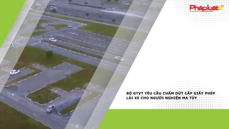 Bộ GTVT yêu cầu chấm dứt cấp giấy phép lái xe cho người nghiện ma túy