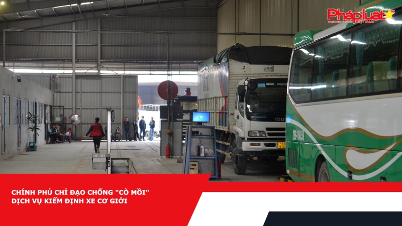 Chính phủ chỉ đạo chống 