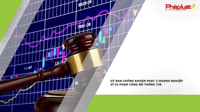 Uỷ ban Chứng khoán phạt 2 doanh nghiệp vì vi phạm công bố thông tin