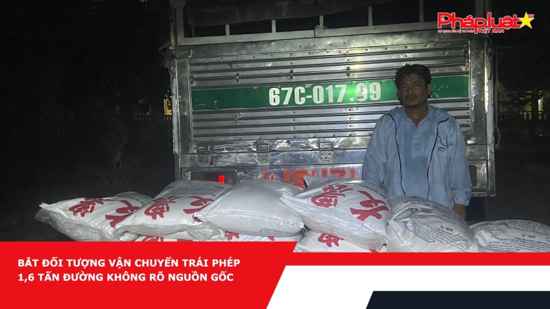 Bắt đối tượng vận chuyển trái phép 1,6 tấn đường không rõ nguồn gốc