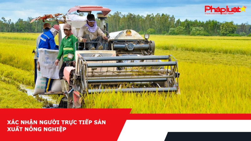 Xác nhận người trực tiếp sản xuất nông nghiệp thế nào?