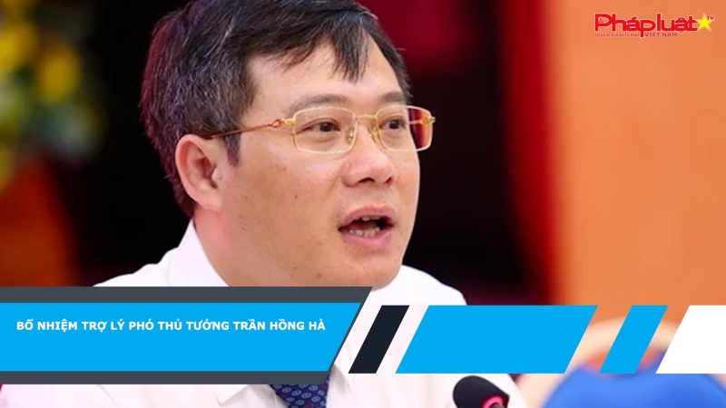 Bổ nhiệm Trợ lý Phó Thủ tướng Trần Hồng Hà