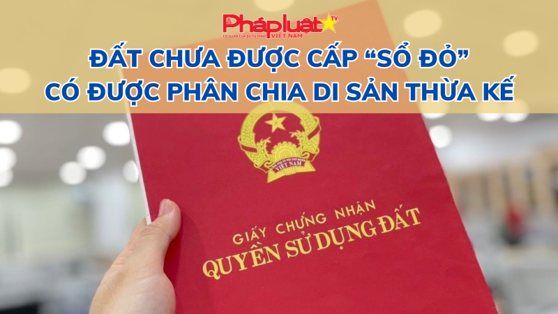 Đất chưa được cấp “sổ đỏ” có được phân chia di sản thừa kế