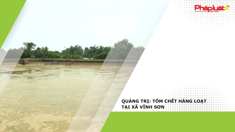 Quảng Trị: Tôm chết hàng loạt tại xã Vĩnh Sơn