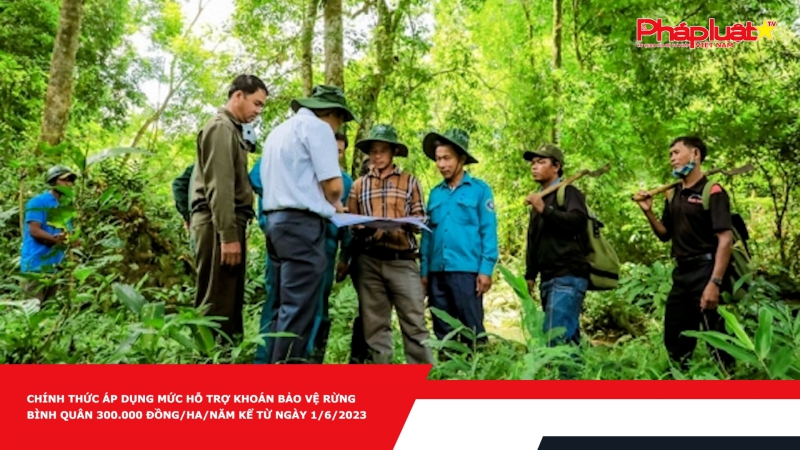 Chính thức áp dụng mức hỗ trợ khoán bảo vệ rừng bình quân 300.000 đồng/ha/năm kể từ ngày 1/6/2023