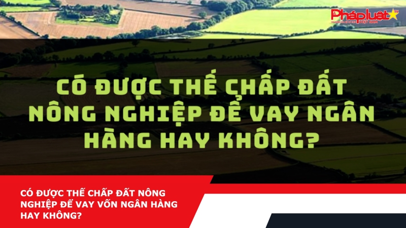 Có được thế chấp đất nông nghiệp để vay vốn ngân hàng hay không?