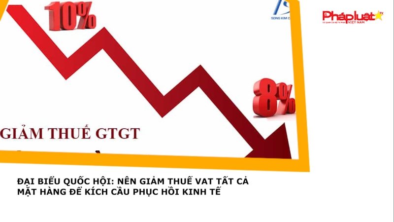 Đại biểu Quốc hội: Nên giảm thuế VAT tất cả mặt hàng để kích cầu phục hồi kinh tế