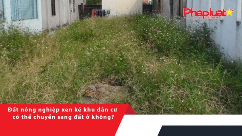 Đất nông nghiệp xen kẽ khu dân cư có thể chuyển sang đất ở không?