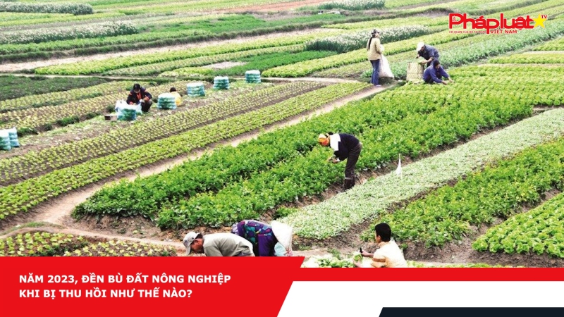 Năm 2023, đền bù đất nông nghiệp khi bị thu hồi như thế nào?