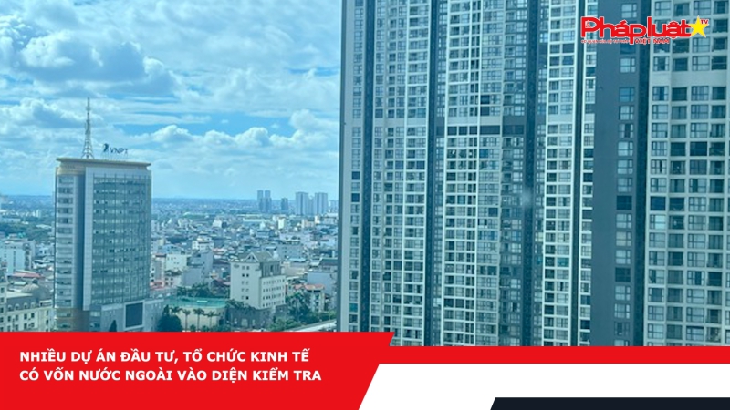 Nhiều dự án đầu tư, tổ chức kinh tế có vốn nước ngoài vào diện kiểm tra