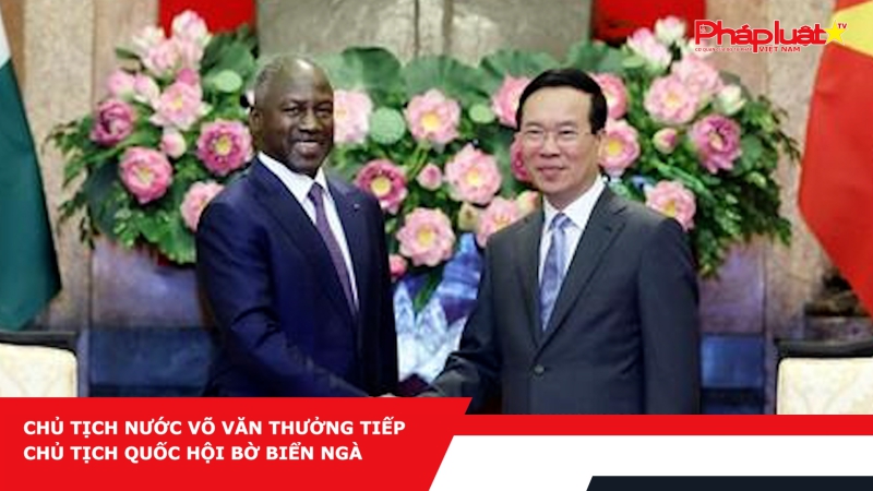 Chủ tịch nước Võ Văn Thưởng tiếp Chủ tịch Quốc hội Bờ Biển Ngà