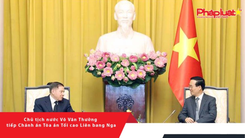 Chủ tịch nước Võ Văn Thưởng tiếp Chánh án Tòa án Tối cao Liên bang Nga