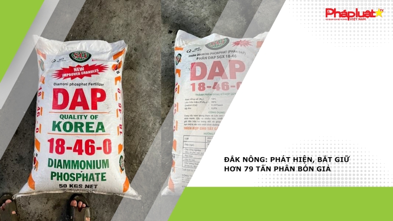 Đắk Nông: Phát hiện, bắt giữ hơn 79 tấn phân bón giả
