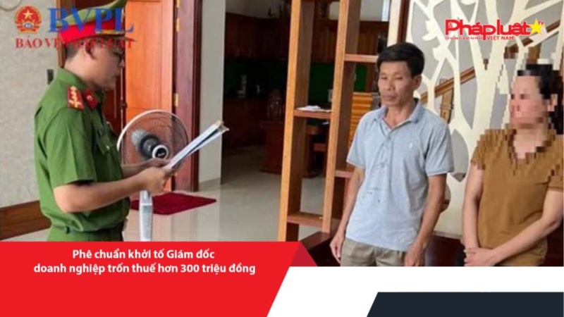 Phê chuẩn khởi tố Giám đốc doanh nghiệp trốn thuế hơn 300 triệu đồng