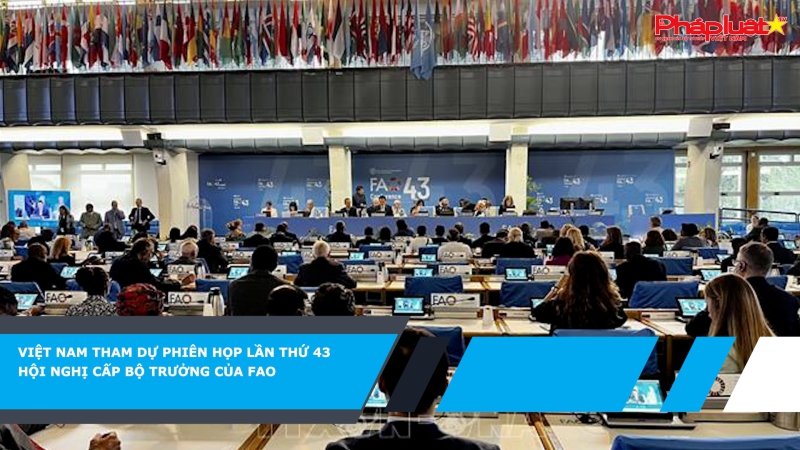 Việt Nam tham dự Phiên họp lần thứ 43 Hội nghị cấp Bộ trưởng của FAO