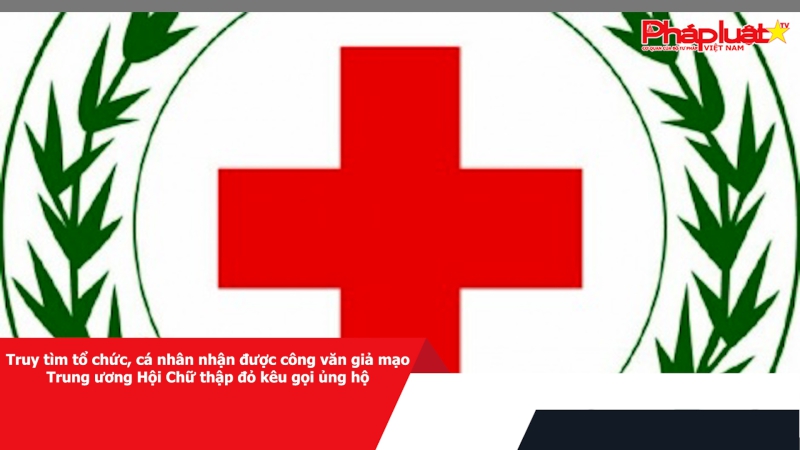 Truy tìm tổ chức, cá nhân nhận được công văn giả mạo Trung ương Hội Chữ thập đỏ kêu gọi ủng hộ