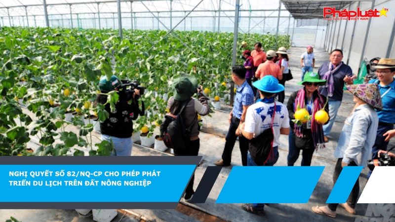 Nghị quyết số 82/NQ-CP cho phép phát triển du lịch trên đất nông nghiệp