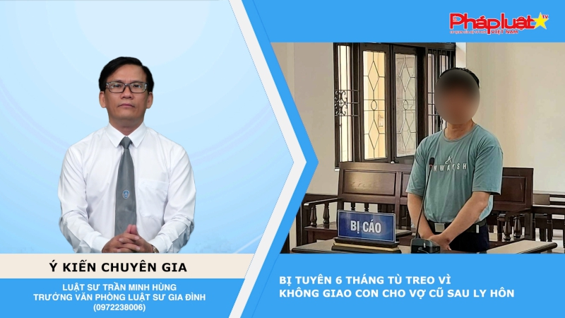 Thời sự Pháp luật: Bị tuyên 6 tháng tù treo vì không giao con cho vợ cũ sau ly hôn