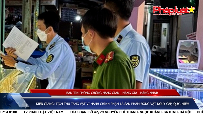 BẢN TIN PHÒNG CHỐNG HÀNG GIAN - HÀNG GIẢ - HÀNG NHÁI: Kiên Giang: Tịch thu tang vật vi hành chính phạm là sản phẩm động vật nguy cấp, quý, hiếm