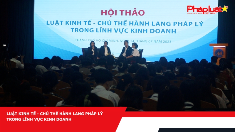 Luật kinh tế - Chủ thể hành lang pháp lý trong lĩnh vực kinh doanh