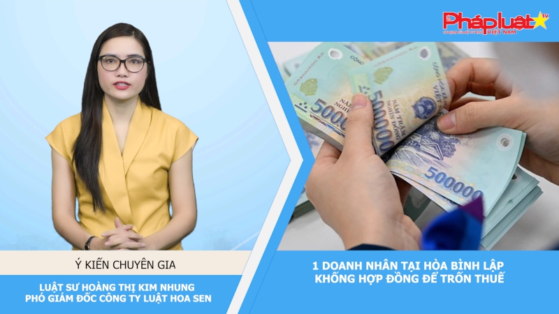 Thời sự Pháp luật:1 doanh nhân tại Hòa Bình lập khống hợp đồng để trốn thuế