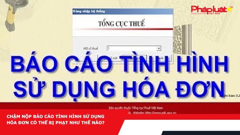 Chậm nộp báo cáo tình hình sử dụng hóa đơn có thể bị phạt như thế nào?