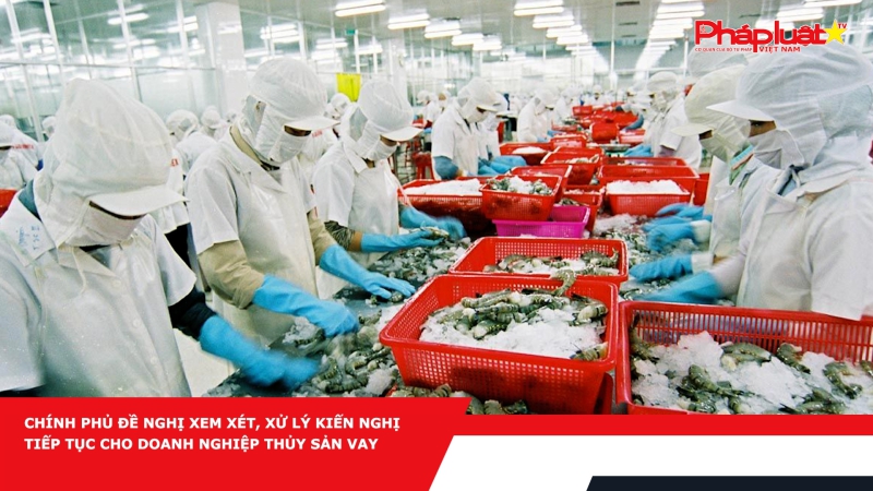 Chính phủ đề nghị xem xét, xử lý kiến nghị tiếp tục cho doanh nghiệp thủy sản vay