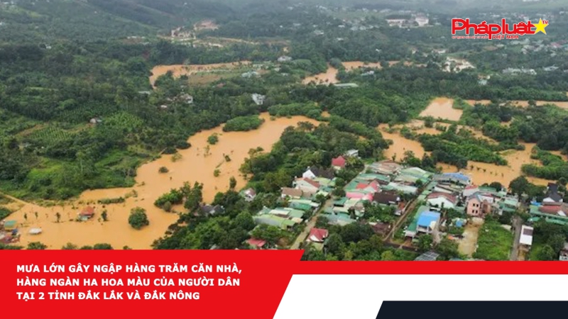 Mưa lớn gây ngập hàng trăm căn nhà, hàng ngàn ha hoa màu của người dân tại 2 tỉnh Đắk Lắk và Đắk Nông