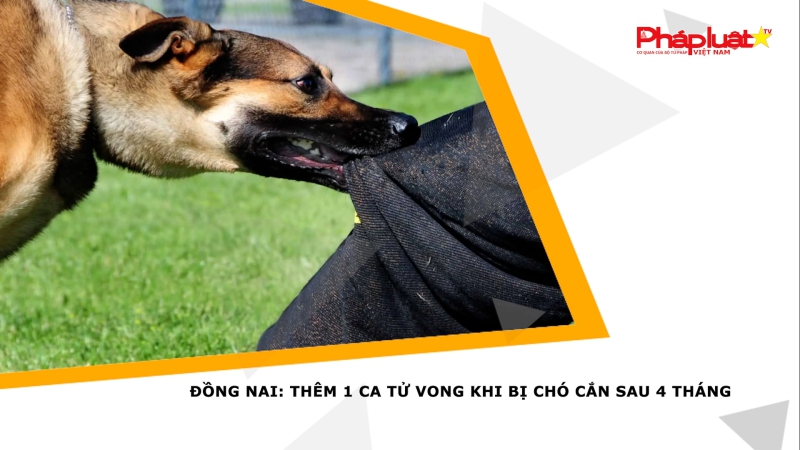 Đồng Nai: Thêm 1 ca tử vong khi bị chó cắn sau 4 tháng