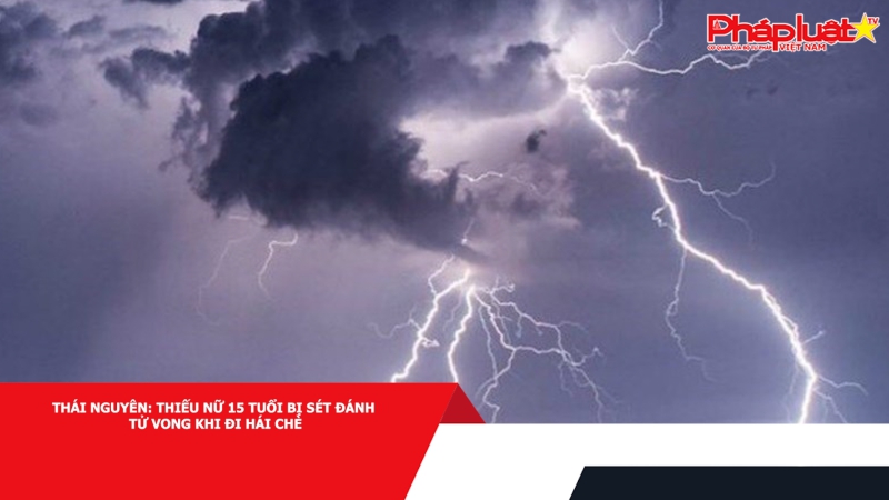 Thái Nguyên: Thiếu nữ 15 tuổi bị sét đánh tử vong khi đi hái chè