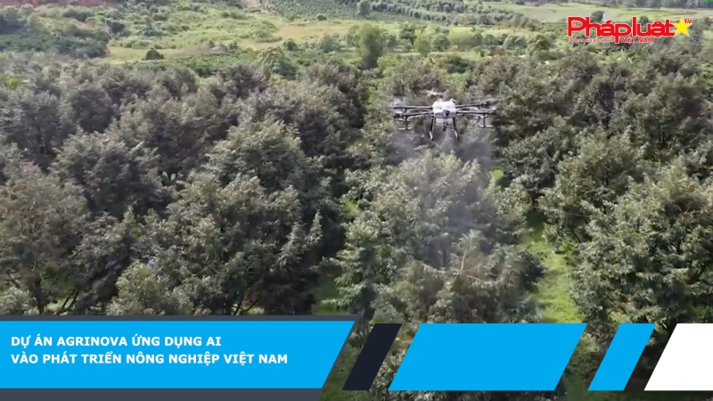 Dự án Agrinova ứng dụng AI vào phát triển nông nghiệp Việt Nam