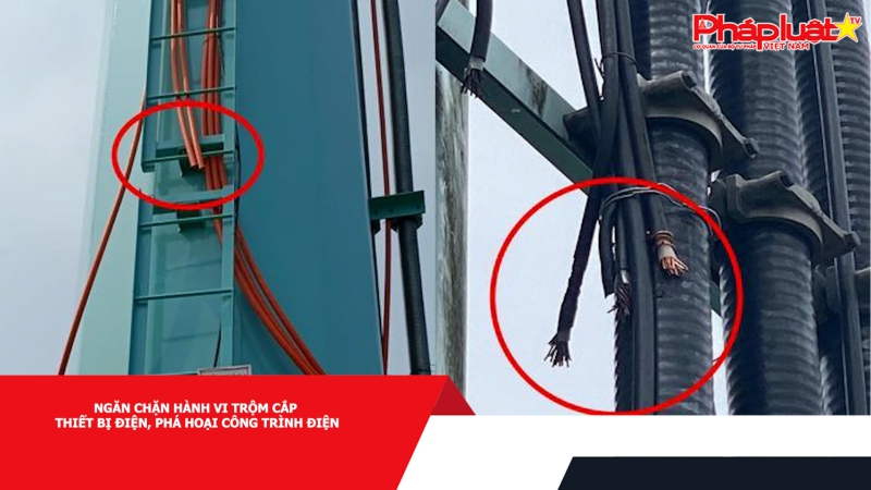 Ngăn chặn hành vi trộm cắp thiết bị điện, phá hoại công trình điện
