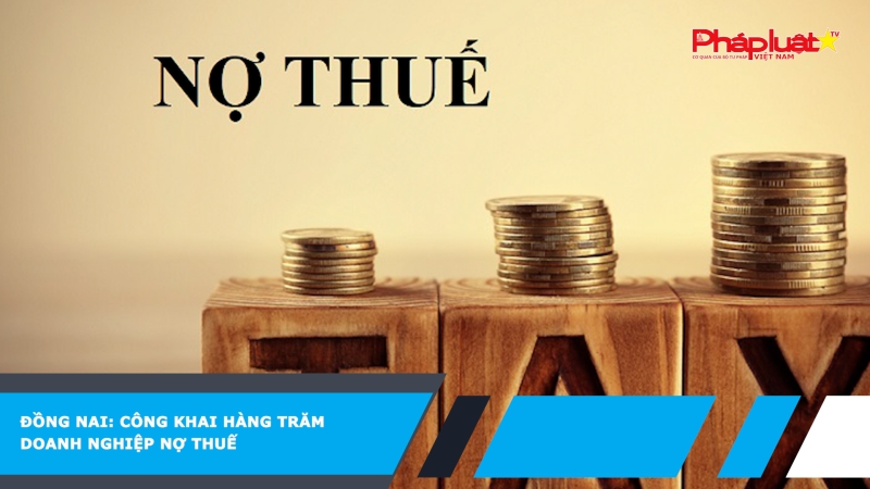 Đồng Nai: Công khai hàng trăm doanh nghiệp nợ thuế