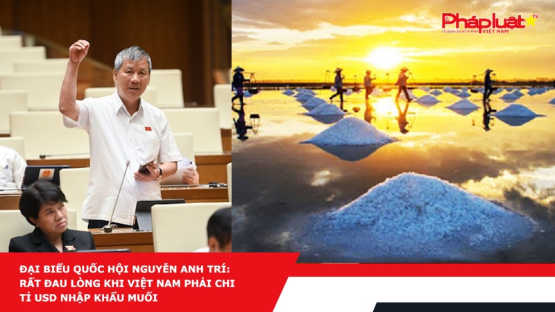 Đại biểu Quốc hội Nguyễn Anh Trí: Rất đau lòng khi Việt Nam phải chi tỉ USD nhập khẩu muối