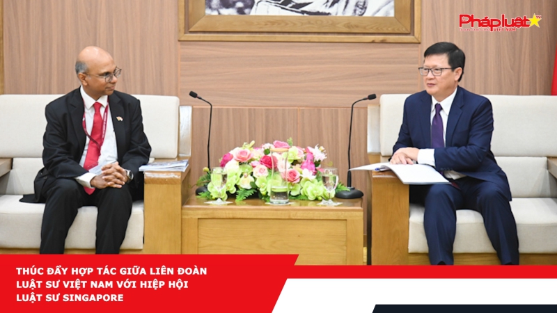 Thúc đẩy hợp tác giữa Liên đoàn Luật sư Việt Nam với Hiệp hội Luật sư Singapore