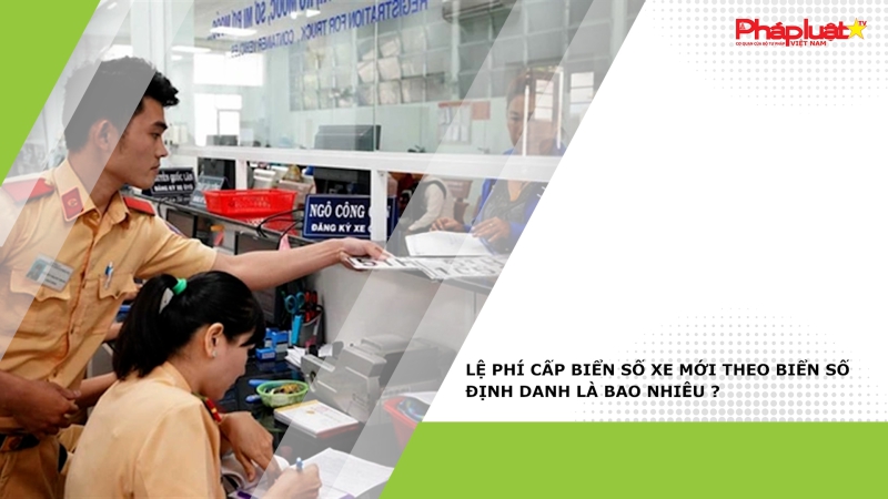 Lệ phí cấp biển số xe mới theo biển số định danh là bao nhiêu ?