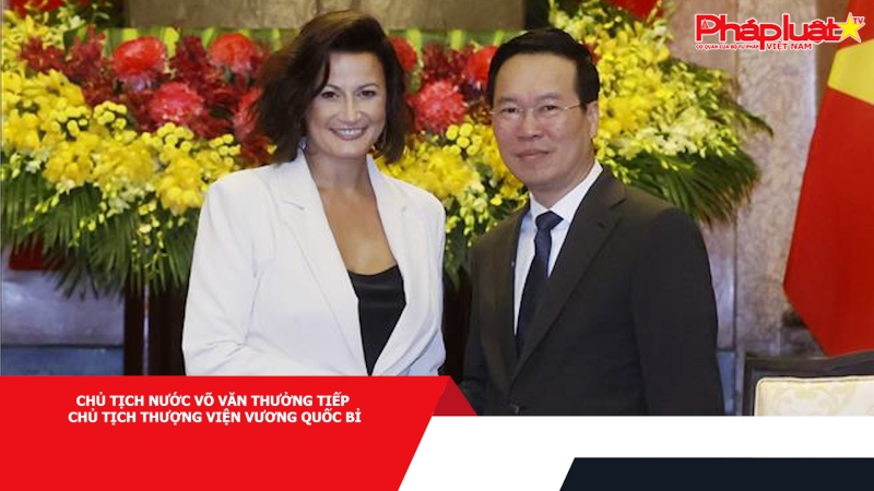 Chủ tịch nước Võ Văn Thưởng tiếp Chủ tịch Thượng viện Vương quốc Bỉ