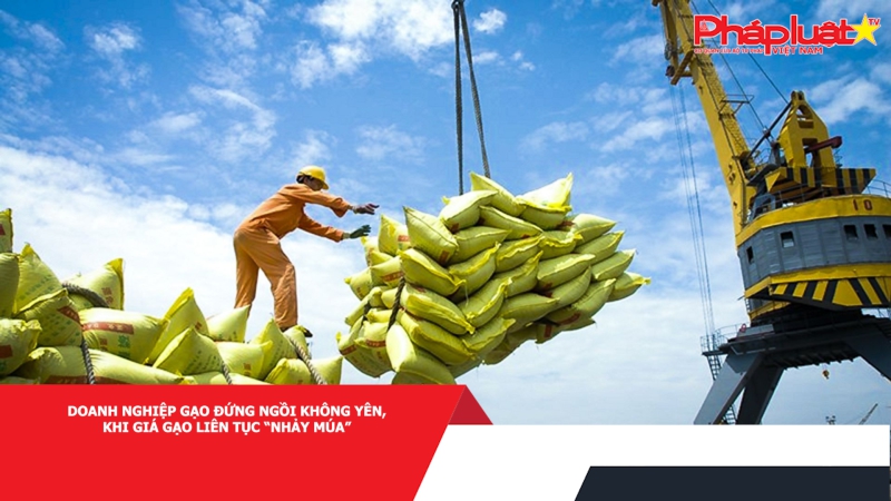 Doanh nghiệp gạo đứng ngồi không yên, khi giá gạo liên tục “nhảy múa”